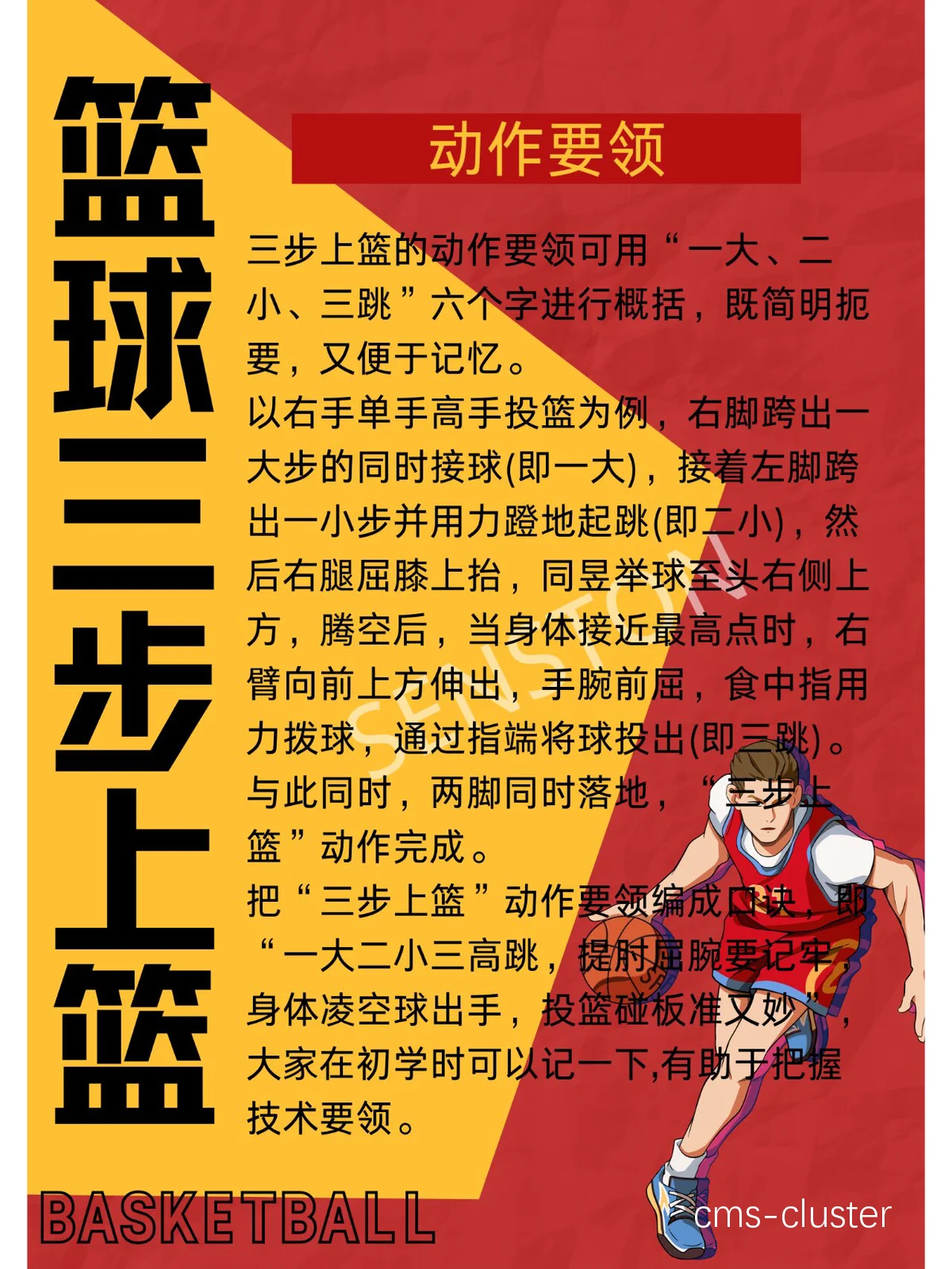 如何利用社区资源为篮球训练提供支持？